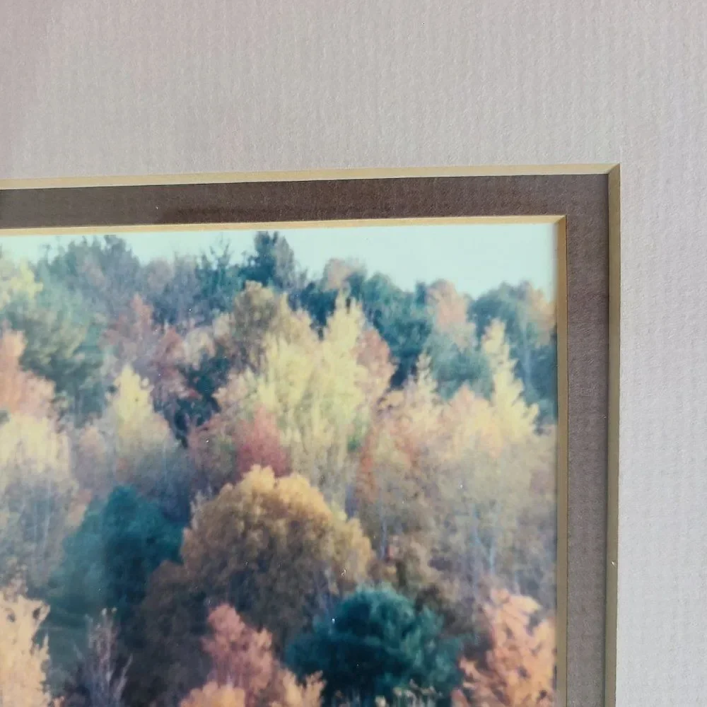 Vintage Autumn Fall Photography Wall Hanging Framed and Matted J Palmer 1988